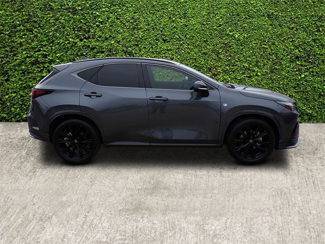 2024 Lexus NX 350 F Sport Handling