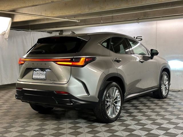 2024 Lexus NX 350 Luxury