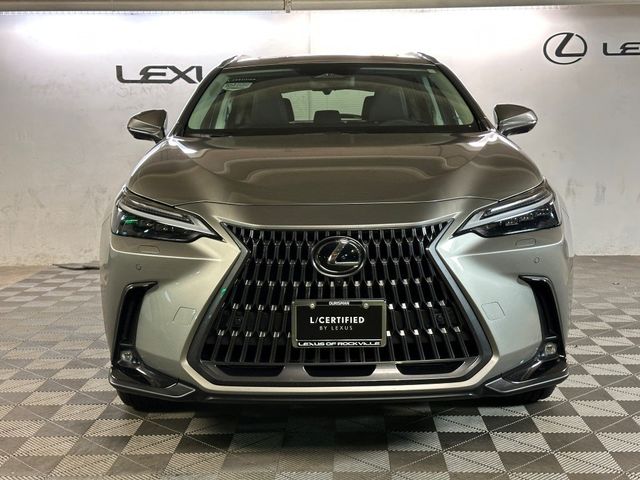 2024 Lexus NX 350 Luxury