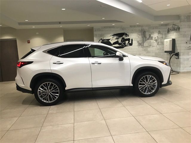 2024 Lexus NX 350 Luxury