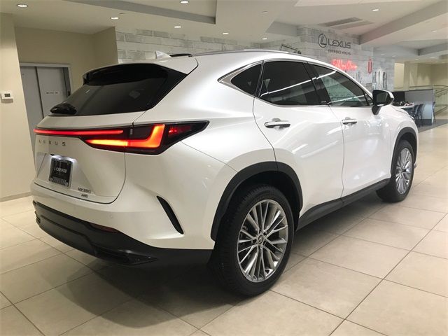 2024 Lexus NX 350 Luxury