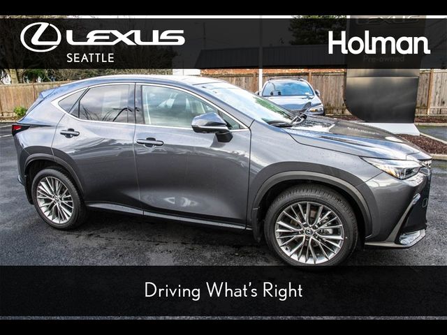 2024 Lexus NX 350 Luxury