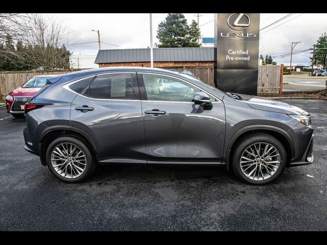 2024 Lexus NX 350 Luxury