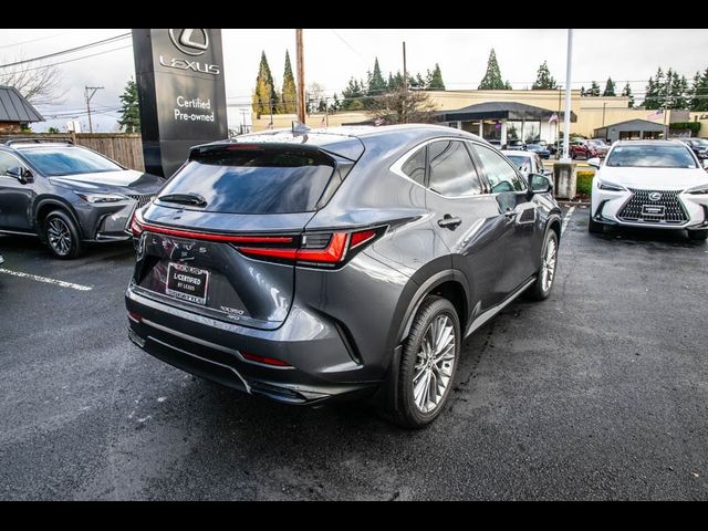 2024 Lexus NX 350 Luxury