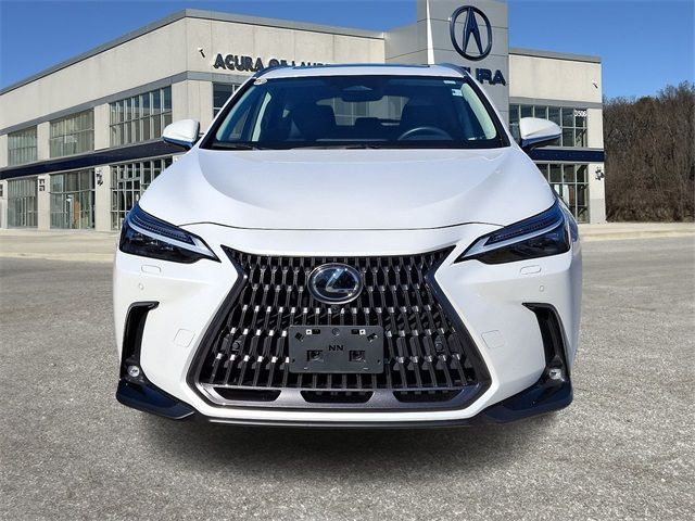 2024 Lexus NX 350 Luxury