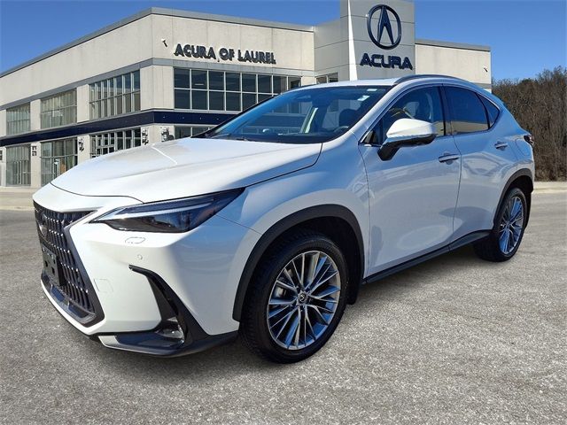 2024 Lexus NX 350 Luxury