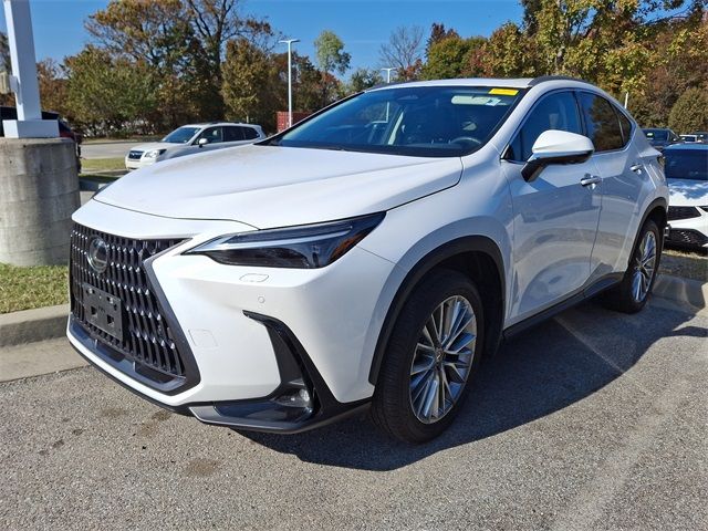 2024 Lexus NX 350 Luxury