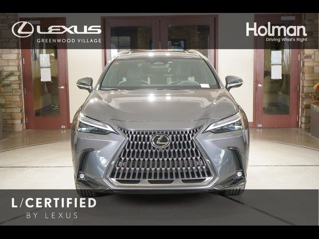 2024 Lexus NX 350 Luxury