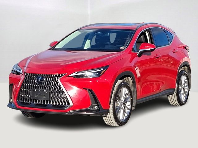 2024 Lexus NX 350 Luxury