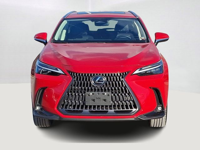 2024 Lexus NX 350 Luxury