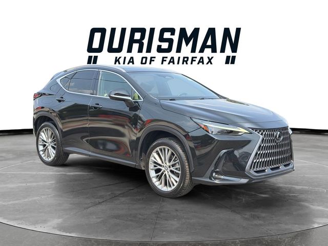 2024 Lexus NX 350 Luxury
