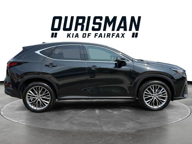 2024 Lexus NX 350 Luxury