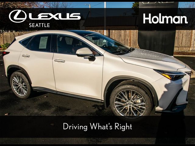 2024 Lexus NX 350 Luxury