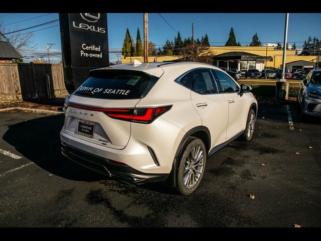 2024 Lexus NX 350 Luxury