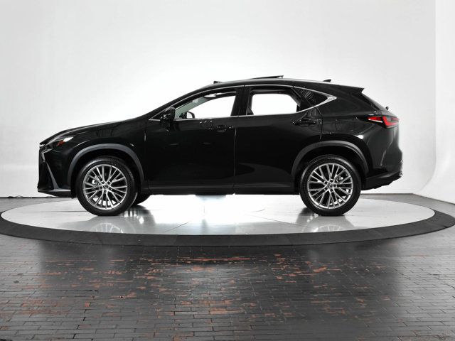 2024 Lexus NX 350 Luxury