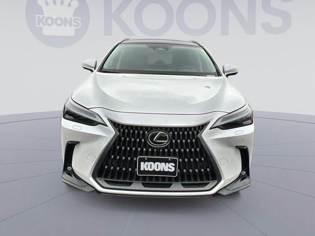 2024 Lexus NX 350 Luxury