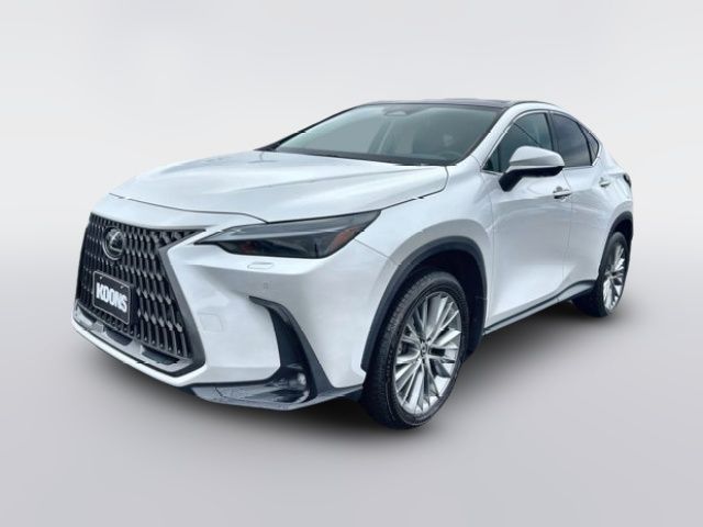2024 Lexus NX 350 Luxury