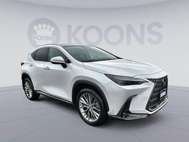2024 Lexus NX 350 Luxury