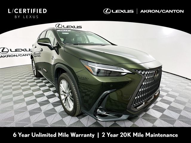 2024 Lexus NX 350 Luxury