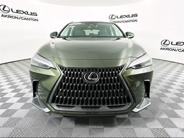 2024 Lexus NX 350 Luxury