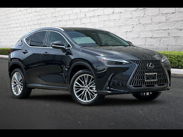 2024 Lexus NX 350 Luxury