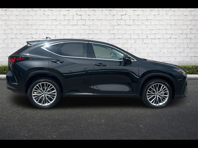 2024 Lexus NX 350 Luxury