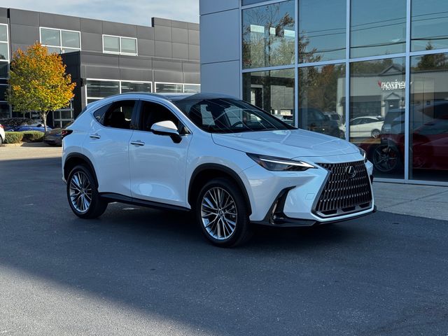 2024 Lexus NX 350 Luxury