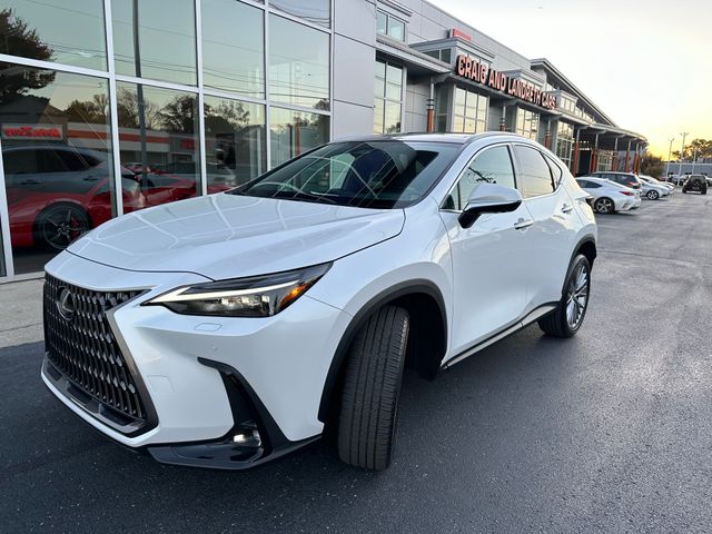 2024 Lexus NX 350 Luxury