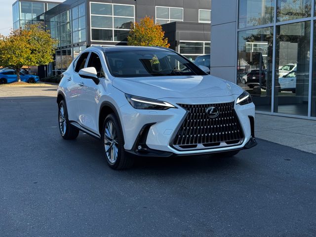 2024 Lexus NX 350 Luxury