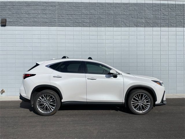 2024 Lexus NX 350 Luxury