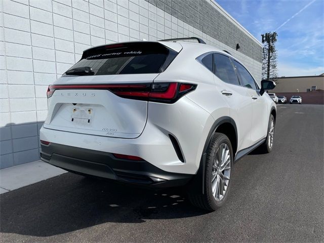 2024 Lexus NX 350 Luxury