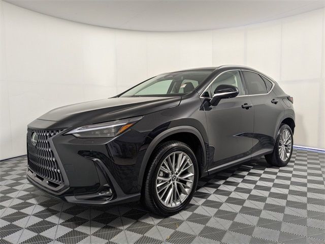 2024 Lexus NX 350 Luxury