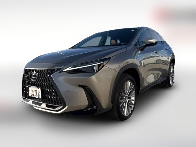 2024 Lexus NX 350 Luxury