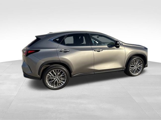 2024 Lexus NX 350 Luxury