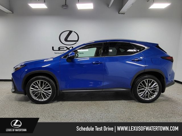 2024 Lexus NX 350 Luxury