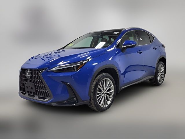 2024 Lexus NX 350 Luxury