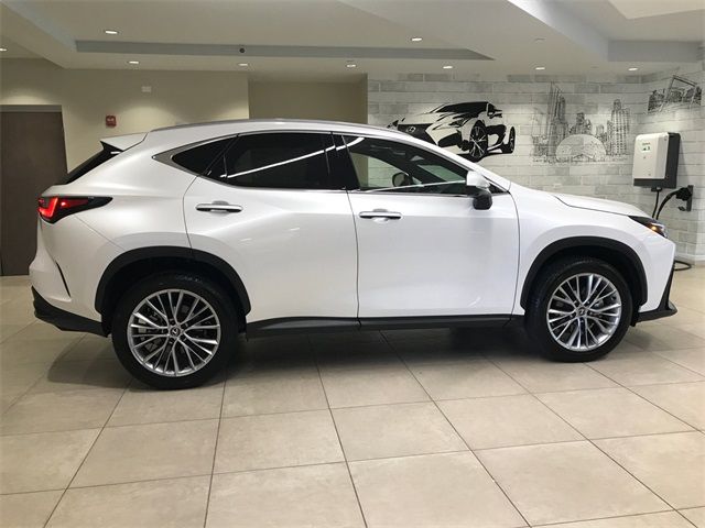 2024 Lexus NX 350 Luxury