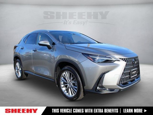 2024 Lexus NX 350 Luxury