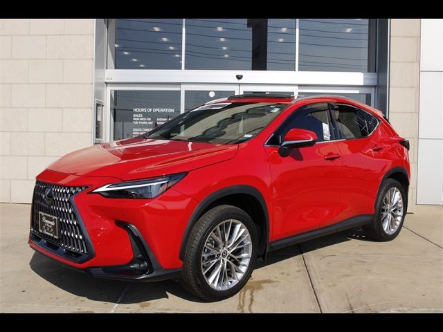 2024 Lexus NX 350 Luxury