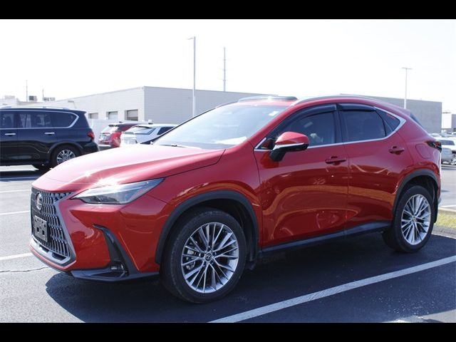 2024 Lexus NX 350 Luxury