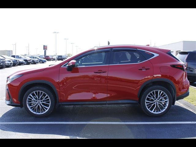 2024 Lexus NX 350 Luxury