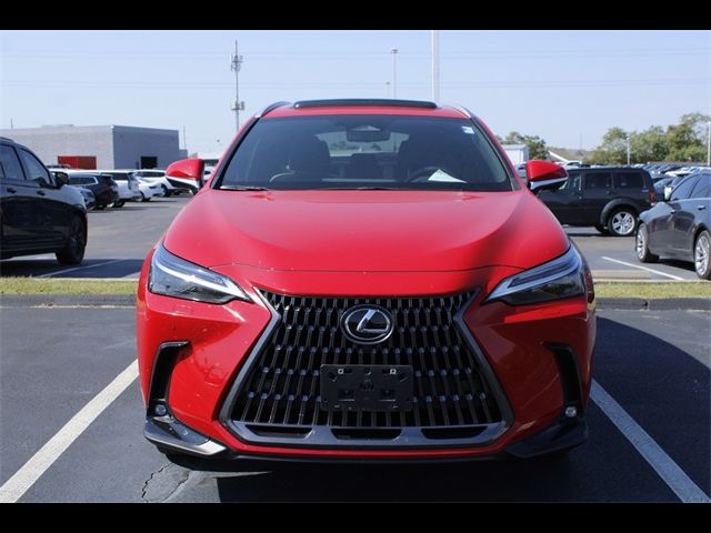 2024 Lexus NX 350 Luxury