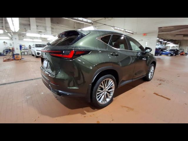 2024 Lexus NX 350 Luxury