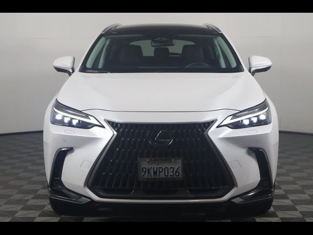 2024 Lexus NX 350 Luxury