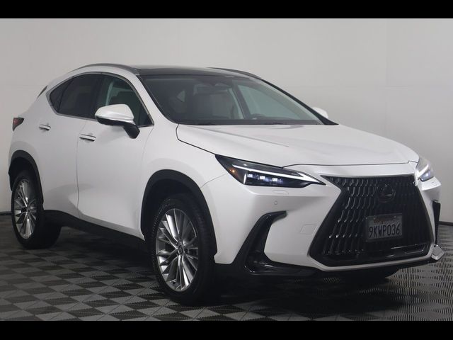 2024 Lexus NX 350 Luxury