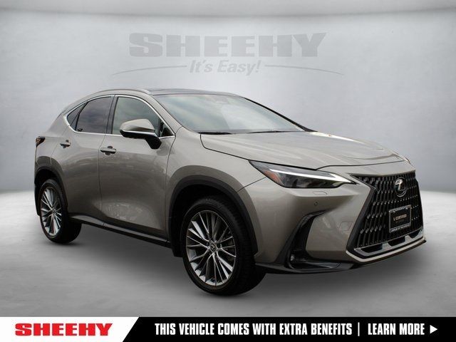 2024 Lexus NX 350 Luxury