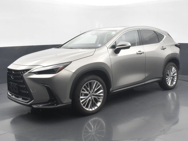 2024 Lexus NX 350 Luxury