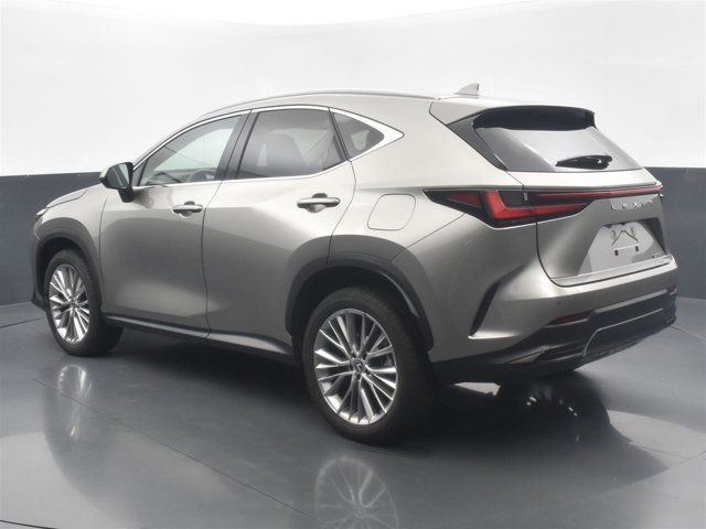 2024 Lexus NX 350 Luxury