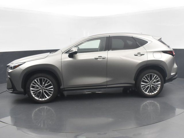 2024 Lexus NX 350 Luxury