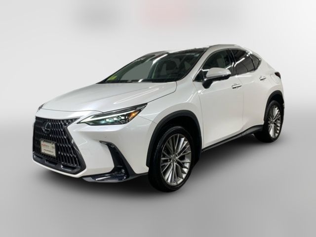 2024 Lexus NX 350 Luxury